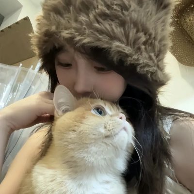 野狗们